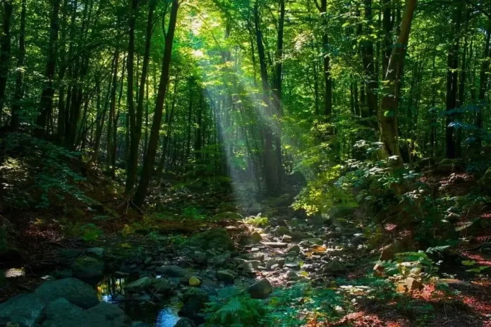 Wildlife_informer_6a7110457f land