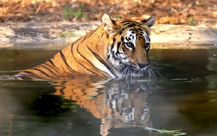 Hot summer day in Nagpur