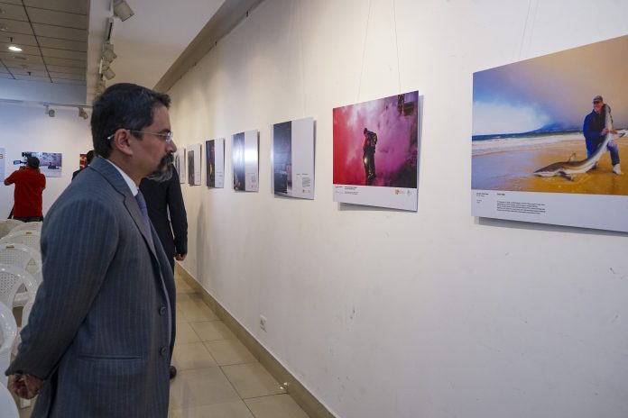 Andrei Stenin International Press Photo Exhibition