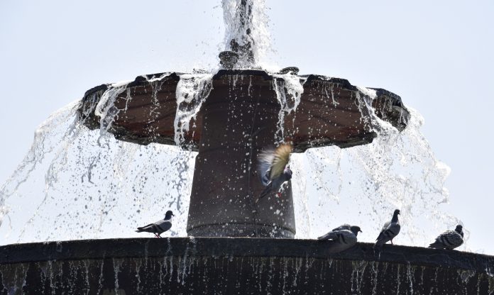 Weather: Heatwave in Delhi