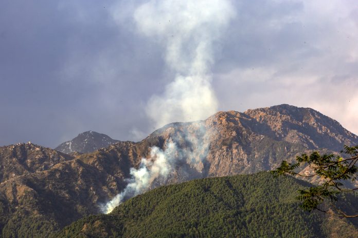 Wildfires breaks out in forest of Palampur