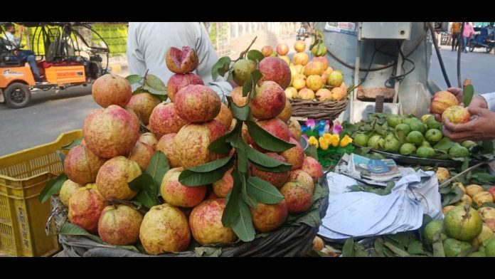 allahabad