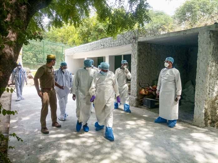 Bird Flu preventions