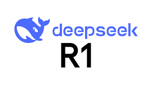 DEEPSEEK R1 R1