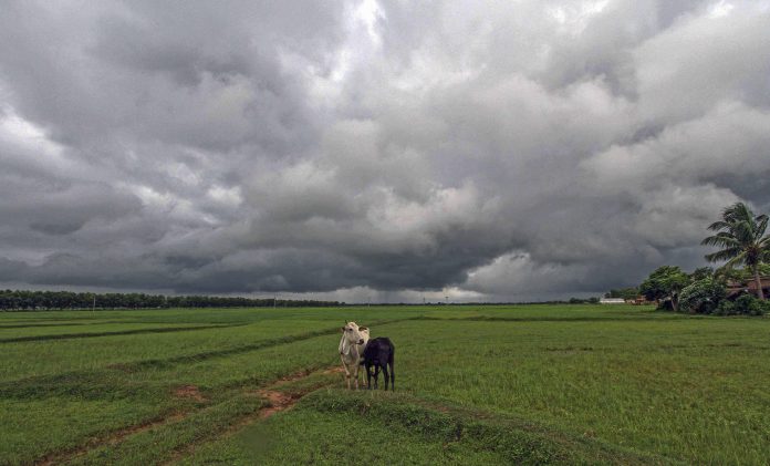 Weather: Overcast in WB's Birbhum