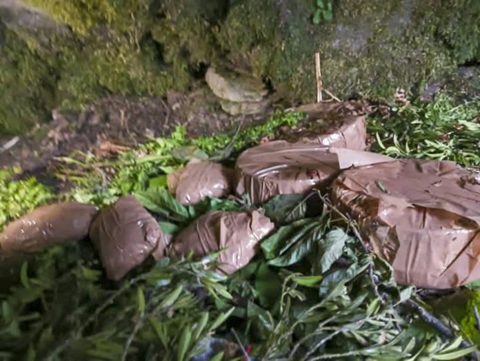 IEDs, wireless sets seized in Poonch