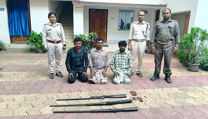 Three poaches held in Odisha’s Similipal National Park