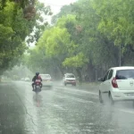 yellowalertinbengal-1746162377183_v-150x150