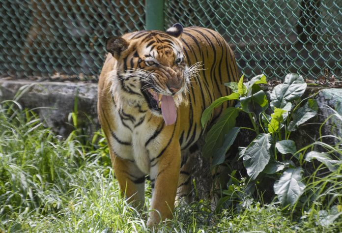 Heat wave conditions in Ranchi