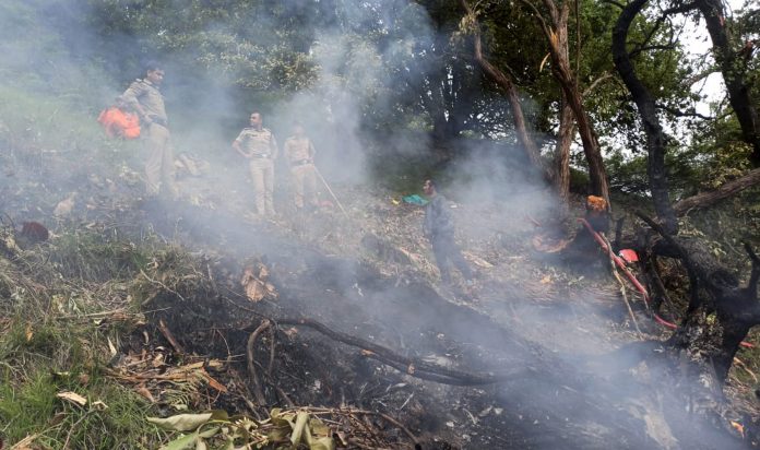 7 killed as chopper crashes near Kedarnath shrine