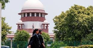 download (20) (1).jpg