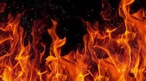 download - 2025-06-23T162156.585.webp