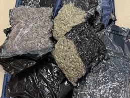 download - 2025-06-28T230216.755.webp