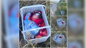 download - 2025-06-29T135754.867.webp