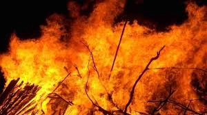 download - 2025-06-29T174246.487.webp