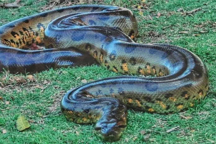 1748347292_untitled-design