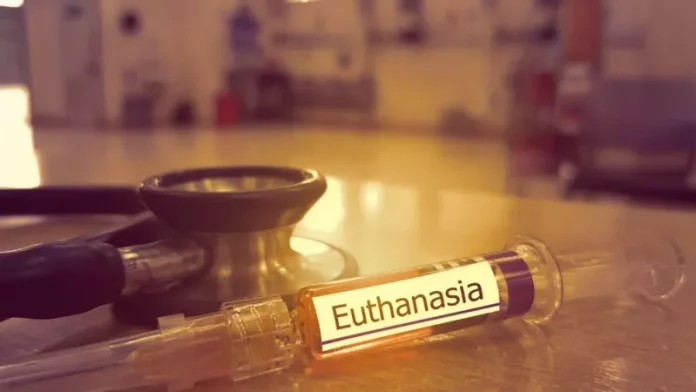 Euthanasia