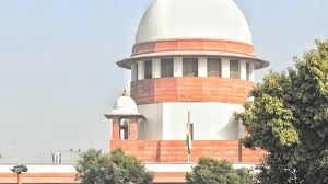 download-2025-07-28T123526.881