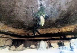 download - 2025-07-12T223221.400.webp