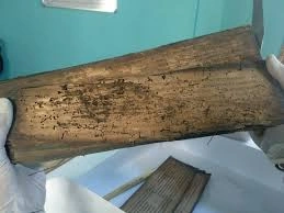 download - 2025-07-22T190758.916