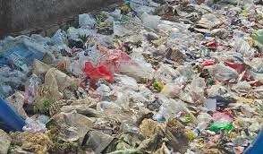 download - 2025-07-24T181037.126