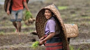 download - 2025-07-25T163746.684