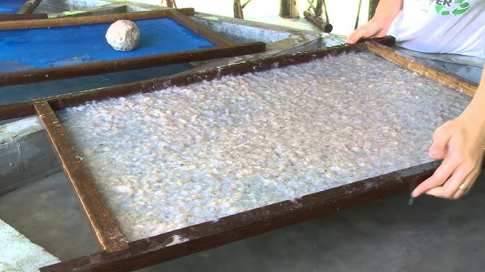 Rajasthan’s ‘Ele Poo Paper’