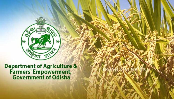Department-of-Agriculture-Farmers-Empowerment-Government-of-Odisha-1.jpg