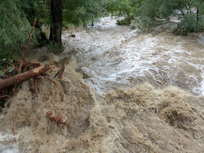 Odisha: 3 swept away in floodwater while crossing bridge, later rescued (Representative image)