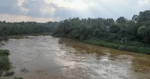 download - 2025-08-04T130733.025.webp