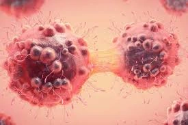 download - 2025-08-21T153241.083.webp