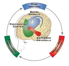 download (59) (1).webp