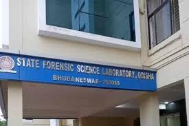 download - 2025-08-29T191138.319.webp