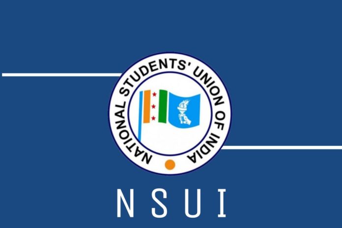 nsui.jpg