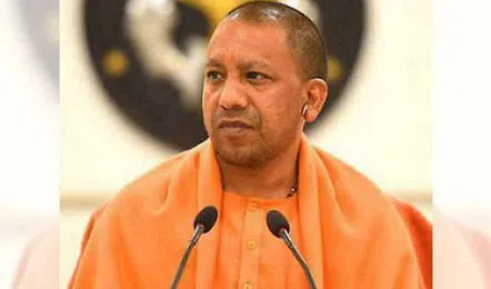 yogi_V_jpg--442x260-4g.webp