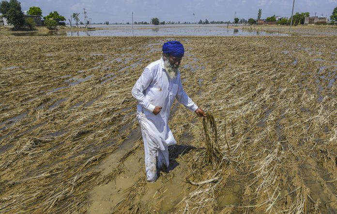Punjab floods