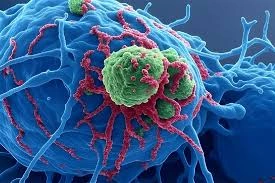 download - 2025-09-01T170858.979.webp