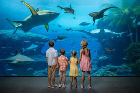 download - 2025-09-04T111919.124.webp