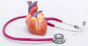 download - 2025-09-05T144118.812.webp