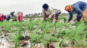 download - 2025-09-16T193750.847.webp