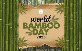 download - 2025-09-18T203355.790.webp