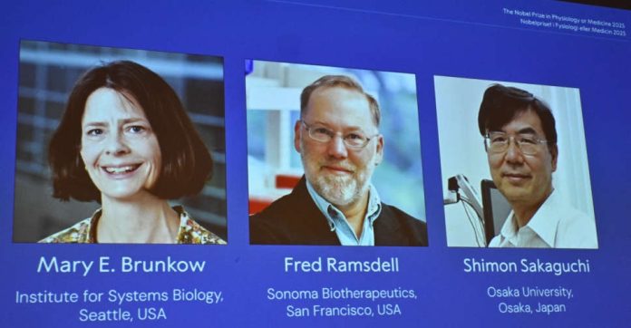 Mary E Brunkow, Fred Ramsdell and Shimon Sakaguchi