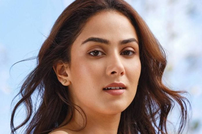 Mira-Rajput-Kapoor.jpg