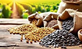 download - 2025-10-14T163645.346.webp