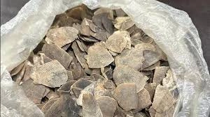 download - 2025-10-14T203346.177.webp