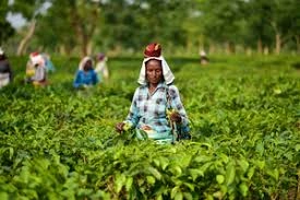 download - 2025-10-16T125802.932.webp