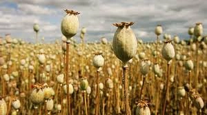 download - 2025-10-29T213205.622.webp