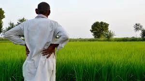 download - 2025-10-30T171000.247.webp