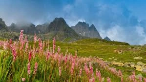 download - 2025-10-31T212932.966.webp