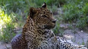 download - 2025-11-03T120738.569.webp